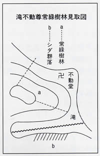 10　木古庭滝不動尊の常緑樹林及び境内樹林