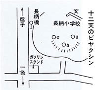 18　十二天のビヤクシン（柏槇）