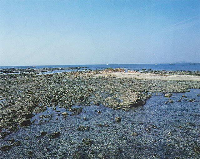 葉山芝崎海岸及び周辺水域