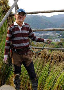 葉山山里会