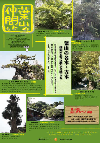 第23号2015年6月