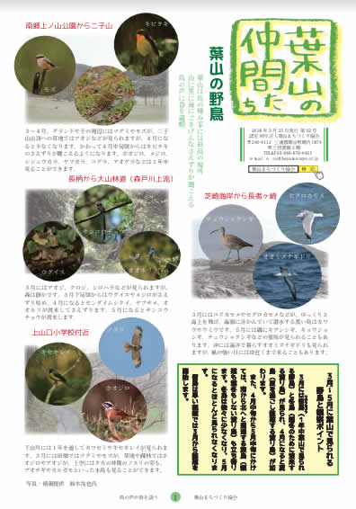 第32号2018年3月