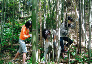 葉山里山愛好会