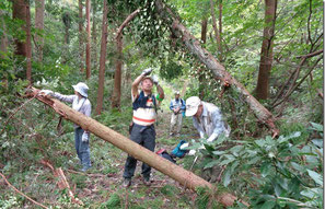 葉山・山楽会