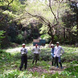 葉山ホタルの会