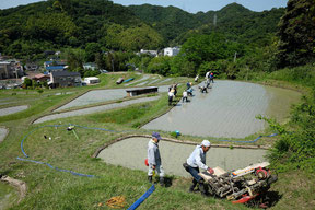 葉山山里会