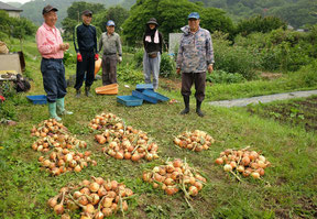 葉山山里会