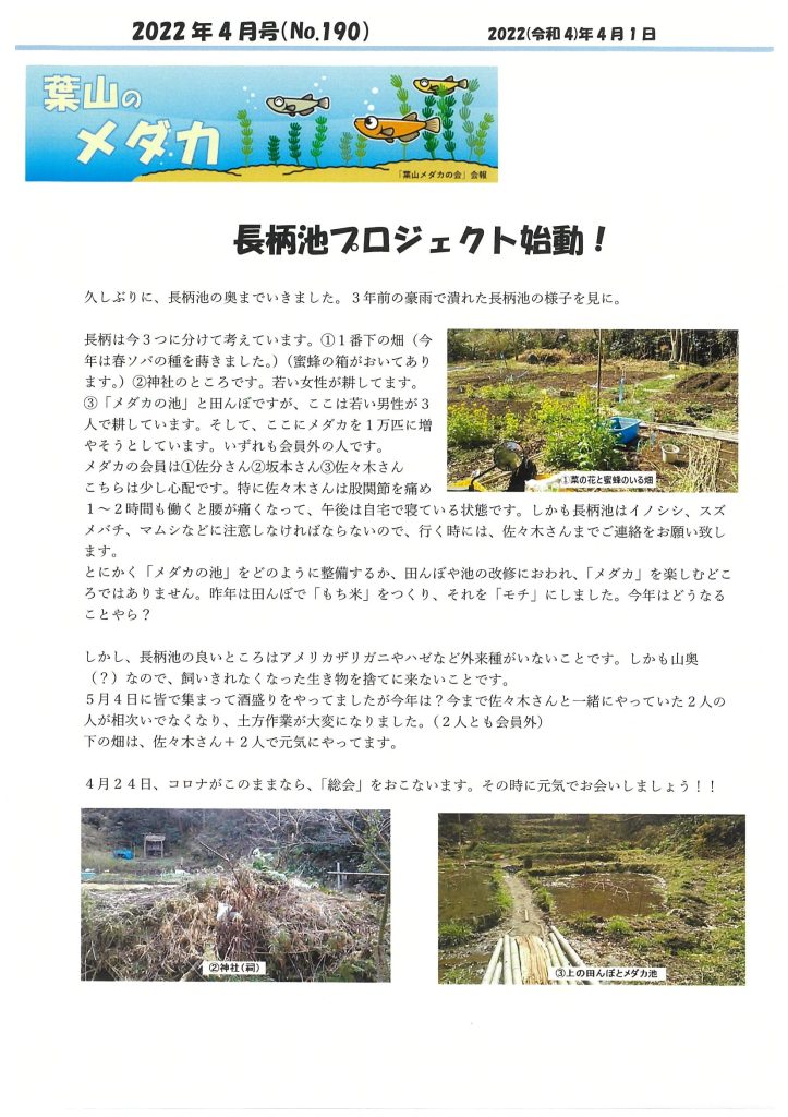 「葉山メダカの会」会報4月号/NO.190