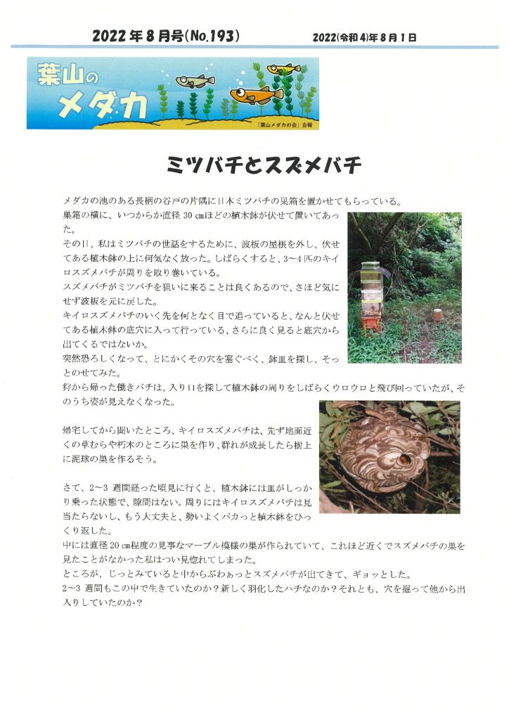 「葉山メダカの会」会報8月号/NO.193