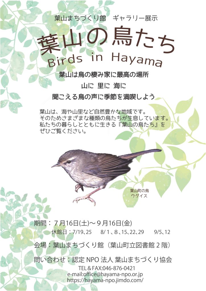 鳥博士・鈴木茂也さんの『葉山の鳥たち』お話会