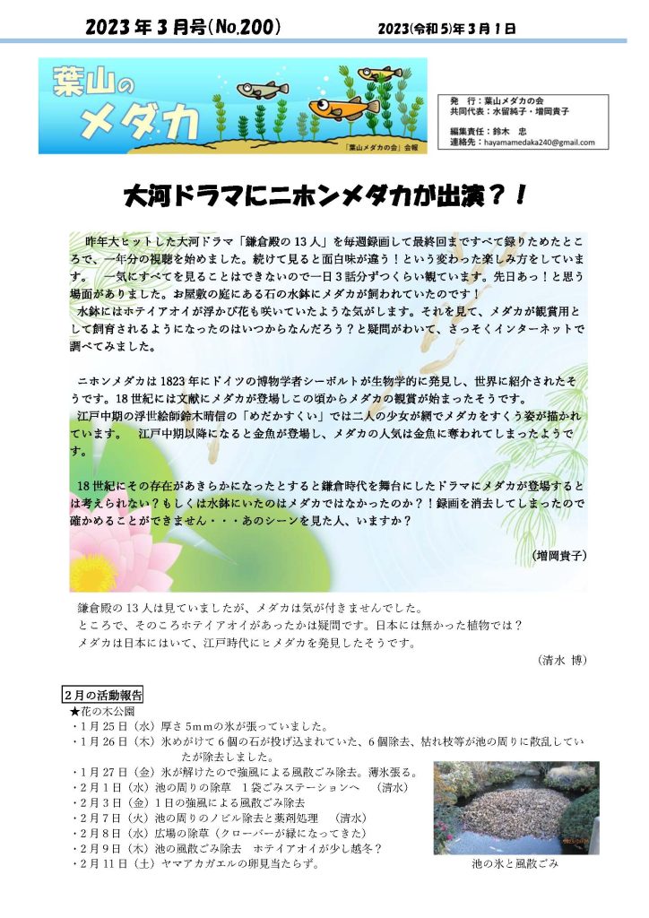 「葉山メダカの会」会報3月号/NO.200