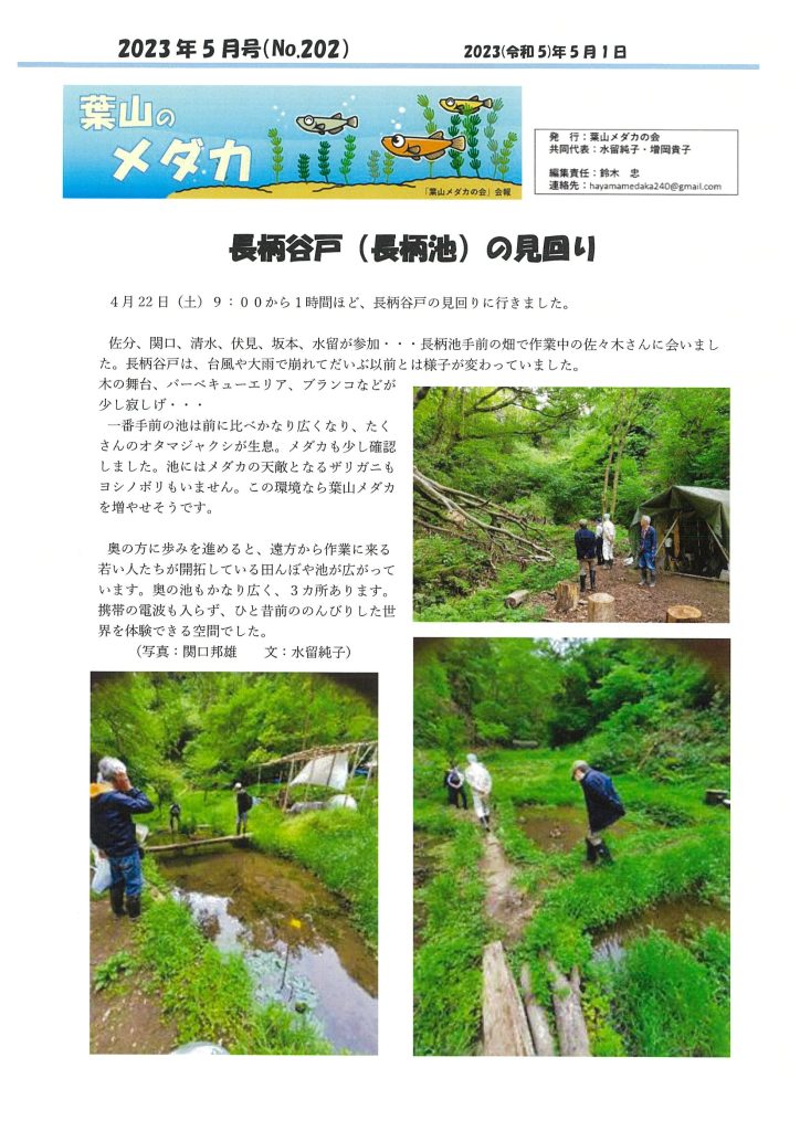 「葉山メダカの会」会報5月号/NO.202