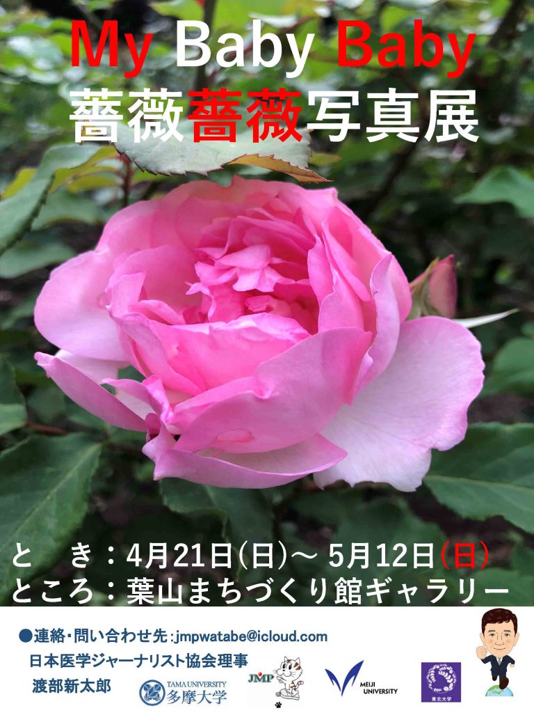 【4/21～5/12開催】My Baby 薔薇薔薇写真展／館ギャラリー