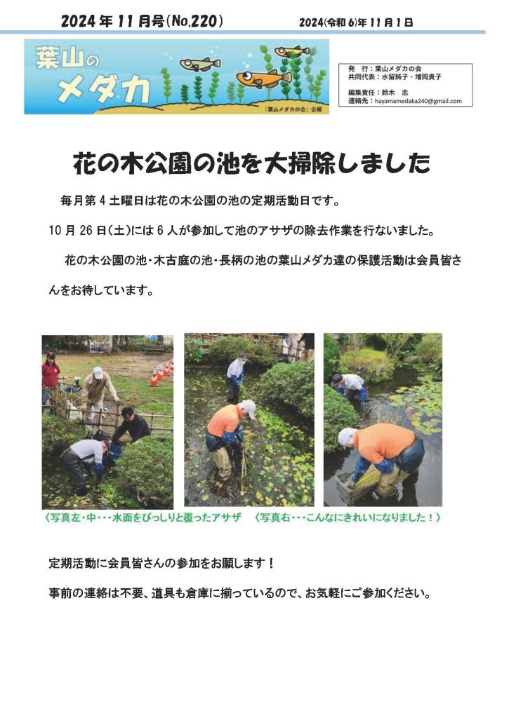 「葉山メダカの会」会報11月号/NO.220