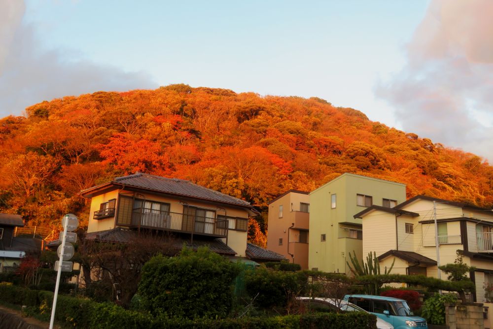 葉山フォトクラブ29