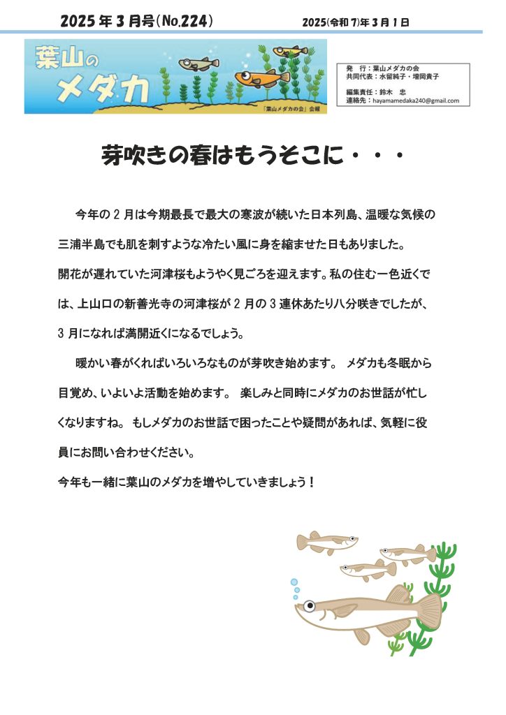 「葉山メダカの会」会報3月号/NO.224