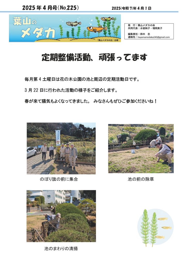 「葉山メダカの会」会報4月号/NO.225