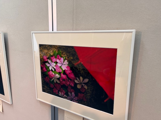 「第4回葉山フォトクラブ作品展」レポート／葉山フォトクラブ