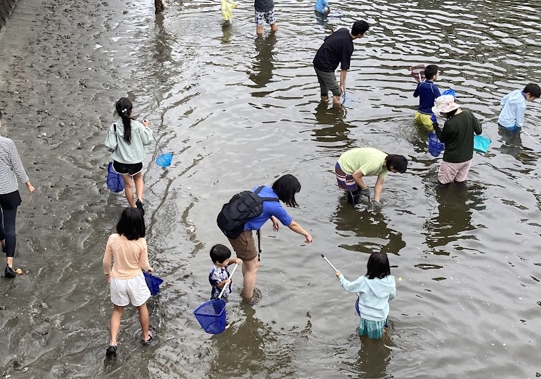 葉山よしのぼりの会