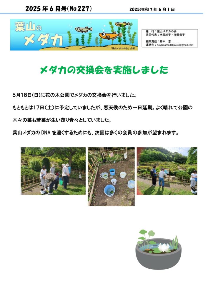 「葉山メダカの会」会報6月号/NO.227