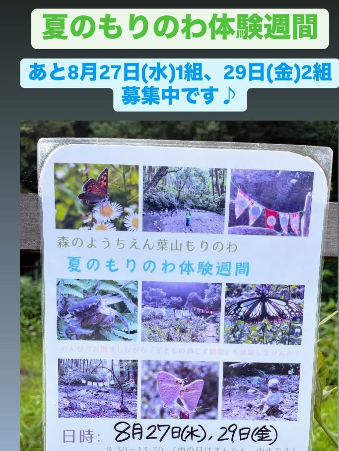 【8月27日、29日開催】夏のもりのわ体験週間／森のようちえん 葉山もりのわ