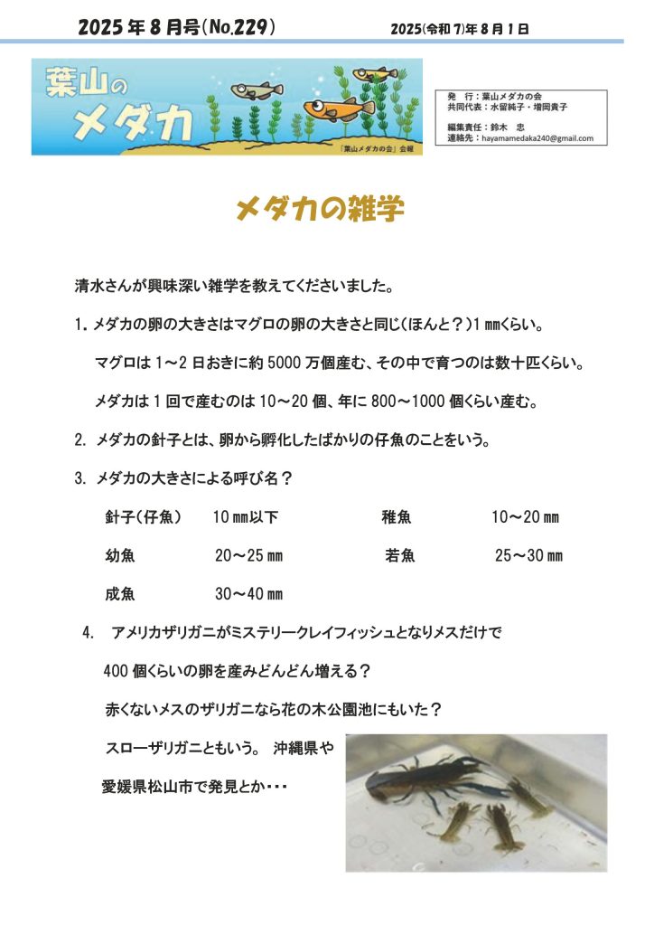 「葉山メダカの会」会報8月号/NO.229