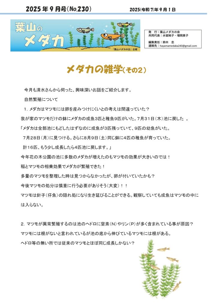 「葉山メダカの会」会報9月号/NO.230