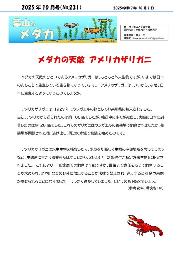 「葉山メダカの会」会報10月号/NO.231