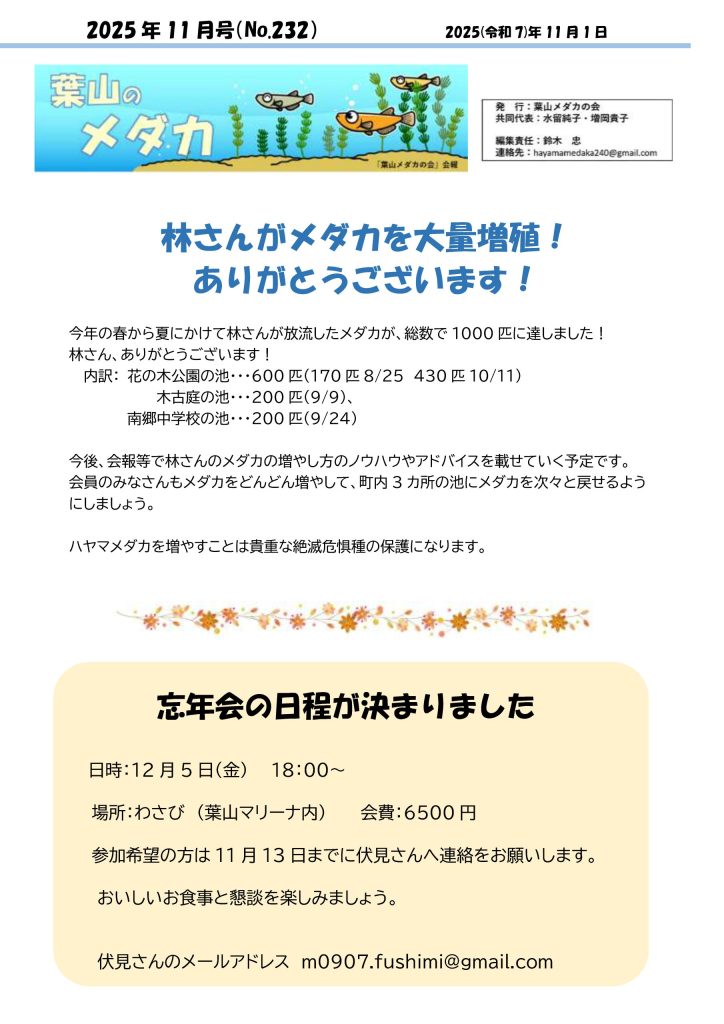 「葉山メダカの会」会報11月号/NO.232