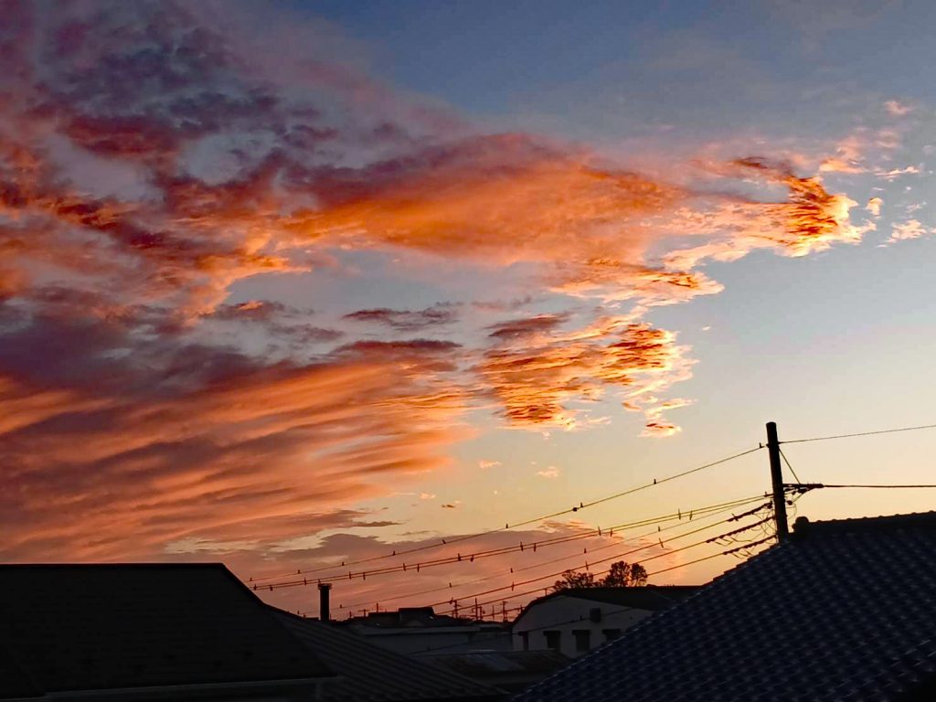 葉山フォトクラブ33