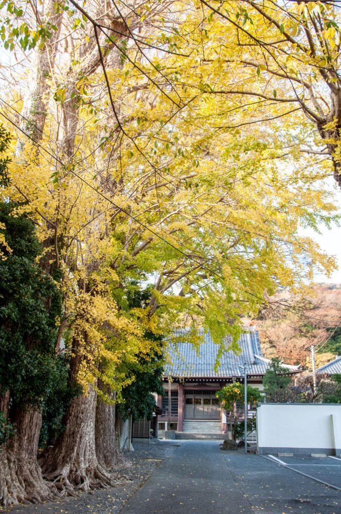 葉山フォトクラブ34