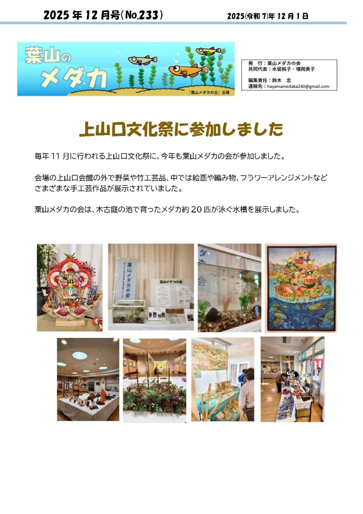 「葉山メダカの会」会報12月号/NO.233